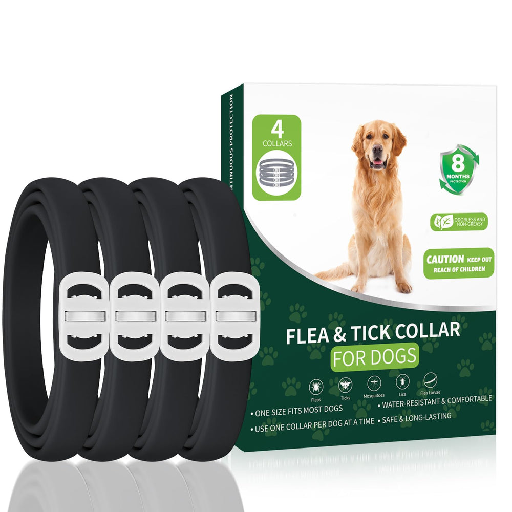 KYGNE collar antipulgas para perros, paquete de 4, protección sostenida para paseos