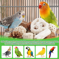 Juguetes Kyouki para aves: madera de manzana con texturas para morder y jugar.