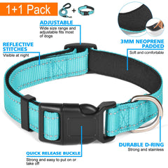 Ladoogo collar aro en D metalico duradero para paseos seguros