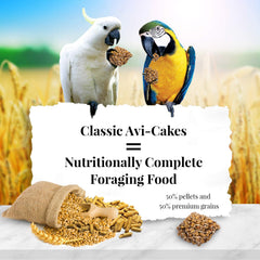 Avi-Cakes de LAFEBER'S con forma cuadrada para forraje y ejercicio del pico.
