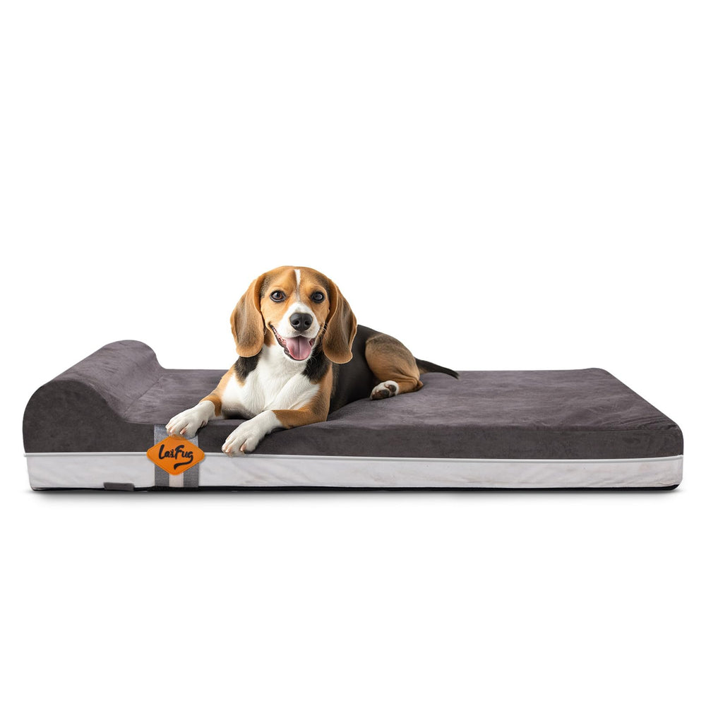 Laifug cama ortopédica para perros con espuma memoria, soporte suave para articulaciones.