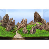 LANDEN piedras dragon natural, de 2 a 8 pulgadas, ideal para anclar musgo y refugio.