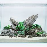 LANDEN Seiryu, piedra de acuario frontal para paisaje estable.