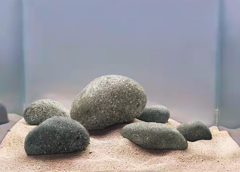 LANDEN Taiji piedra: roca natural con textura rugosa para acuario.