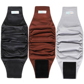 Langsprit: vista del conjunto de bandas para perros macho de tres piezas.