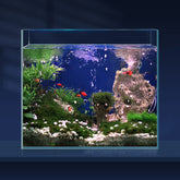 Laqual acuario cristal ultra claro sin marco ofrece vista realista para bettas y nano peces