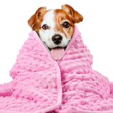 Cobija pesada LaSyL para mascotas en sala, calma perros activos.
