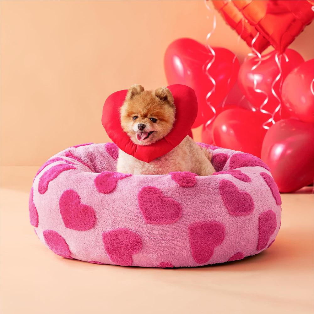 Cama LE SURE Donut para perro pequeño con aro de peluche suave para comodidad.