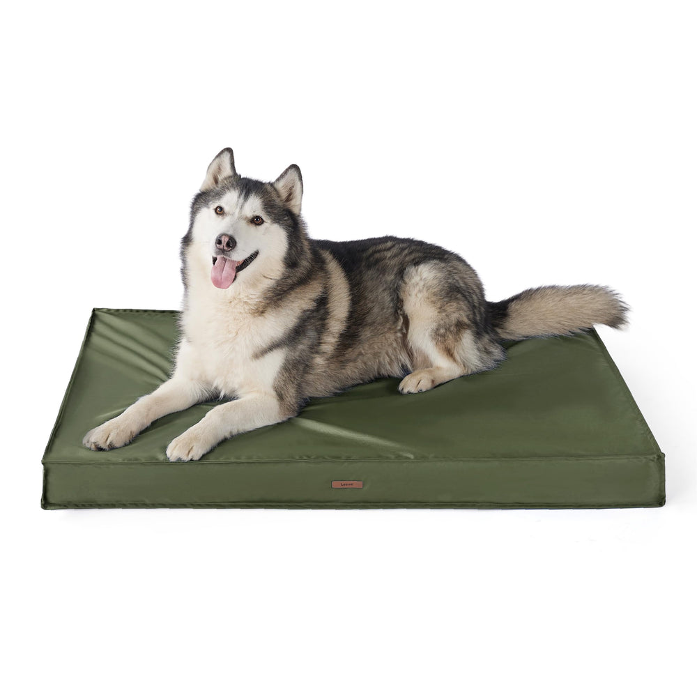 LE SURE cama para perro exterior XXL, ideal para uso al aire libre