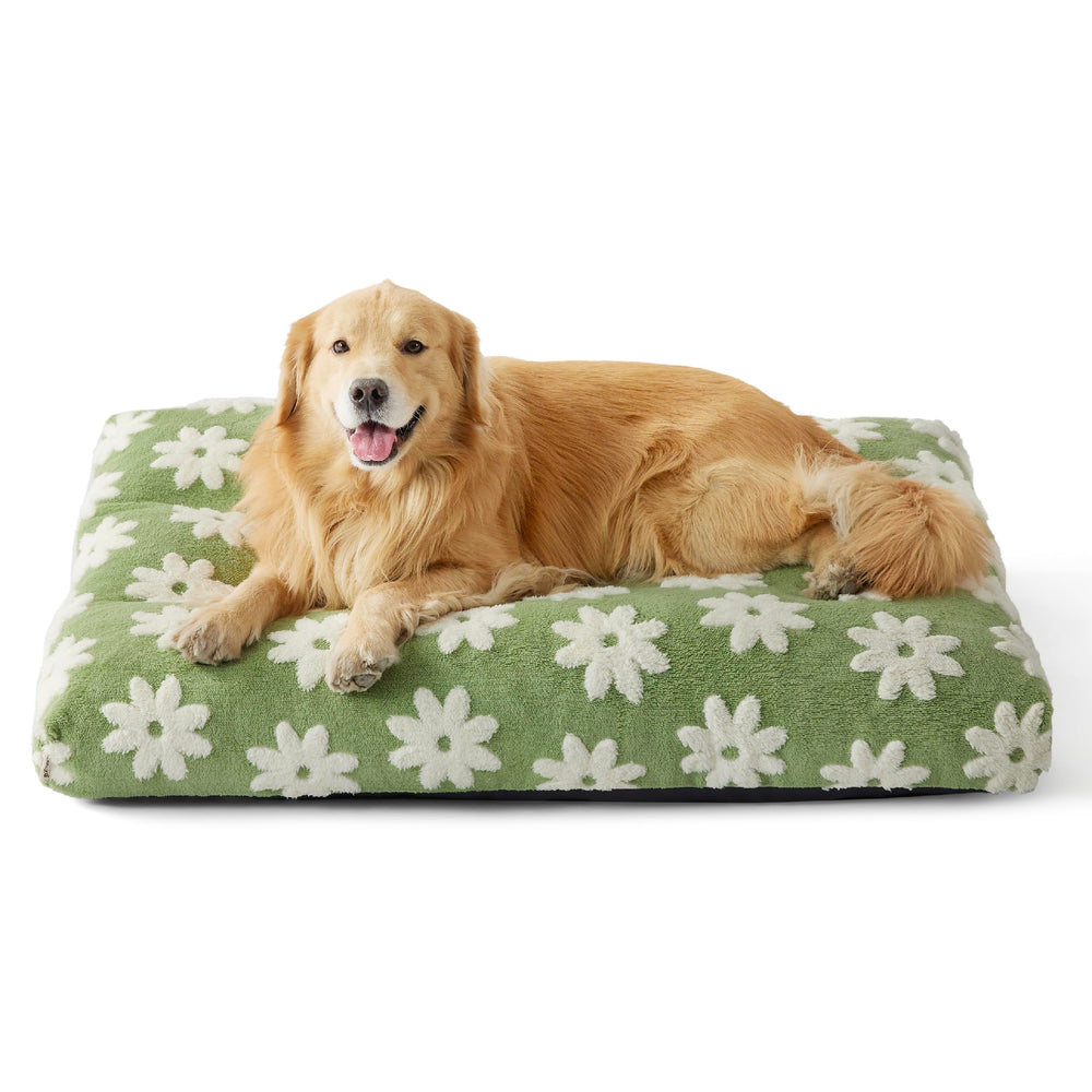 LE SURE cama para perro extragrande con espuma triturada para soporte cómodo.