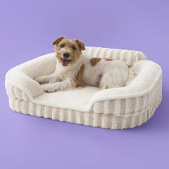 LE SURE cama para perro mediano con espuma en panales ofrece soporte suave