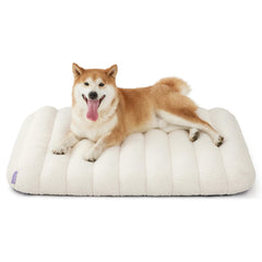 LE SURE cama perro ortopedica mediana ofrece apoyo cómodo para dormir relajado.