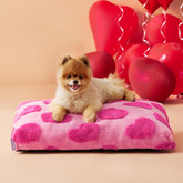 Cama LE SURE para perro pequeño con espuma picada, descanso cómodo