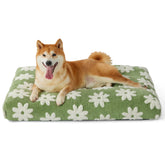 LE SURE cama para perros de diseño moderno y verde, ideal como adorno y descanso.