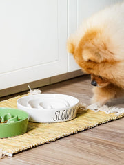 LE TAUCI PET tazón cerámico con diseño laberinto para comer despacio en perros pequeños