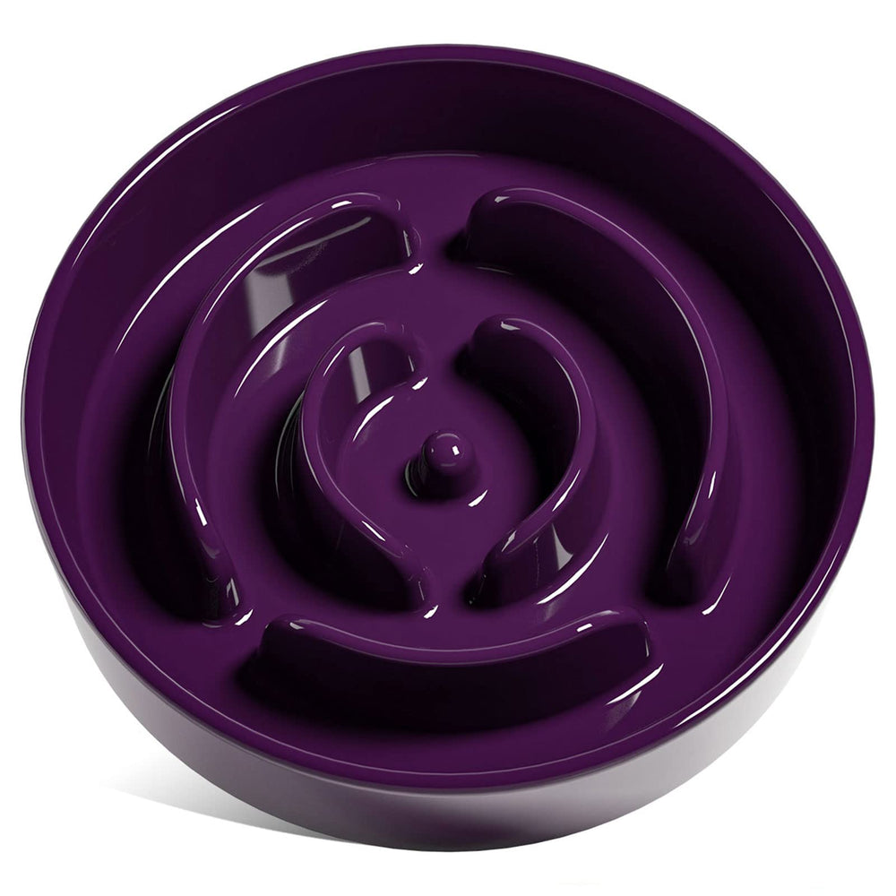 LE TAUCI tazón lento de cerámica morado para perros, fomenta comer despacio