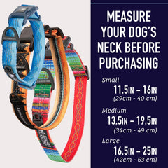 Leash Boss: anillo para ID y anillo en D para accesorios