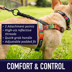 Clip bungee trasero en Leash Boss, absorbe tirones durante juegos al aire libre.