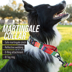 Interior de poliéster suave en el collar Leash Boss para comodidad.