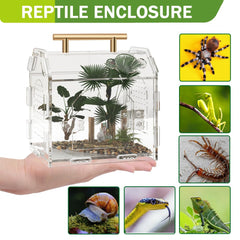 LEIZHENZI hábitat multiusos: ideal para arañas, escorpiones y geckos.