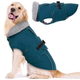 Lelepet abrigo invierno para perro grande, impermeable y cálido, ideal para climas fríos.