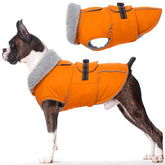 Abrigo impermeable de Lelepet para perro en color naranja protege contra viento y lluvia