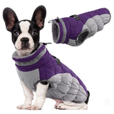 Abrigo LeLePet para perro, vista frontal, púrpura, ideal para paseos fríos.