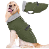 LeLePet abrigo perro invierno poliéster impermeable para días fríos.