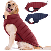 LeLePet abrigo reversible para perro, acolchado e impermeable, ideal para inviernos.