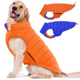 LeLePet abrigo de perro reversible, vista frontal, calor ligero para paseos diarios.