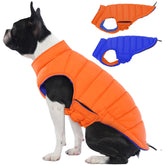 LeLePet abrigo reversible impermeable para perro, dos caras para combinar en paseos.