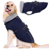 LeLePet abrigo para perros, frente visible, impermeable y cálido para paseos invernales.