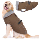 LeLePet abrigo para perros grandes, frente marrón, cómodo para paseos fríos.
