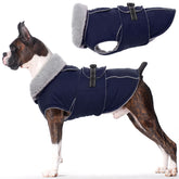 LeLePet abrigo impermeable con forro polar, perfecto para días fríos y secos.