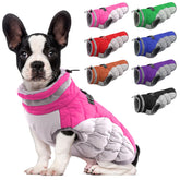 LeLePet capa-perro cálida de invierno con correa integrada, ideal para paseos seguros