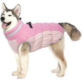LeLePet capa para perro caliente, mantiene al perro cómodo durante paseos fríos.