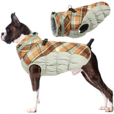 LeLePet capa para perro con arnés integrado, ideal para paseos seguros.