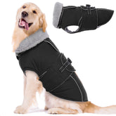 LeLePet capa impermeable para perro, frente, protección contra lluvia y viento.