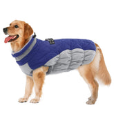 LeLePet capa de invierno para perro con aislamiento polar, ideal para paseos fríos.