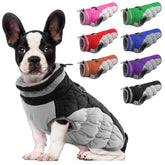 LeLePet capa para perro con arnés incorporado, ideal para paseos seguros en frío.