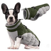 LeLePet chaleco perro invierno agua-resistente, perfecto para paseos en clima frío.