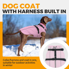 LeLePet chaqueta impermeable con forro polar, mantiene al can cálido incluso con lluvia.