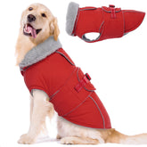 Lelepet chaqueta perro calida frente: abrigo cálido para paseos fríos.