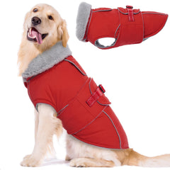 Lelepet chaqueta perro calida frente: abrigo cálido para paseos fríos.