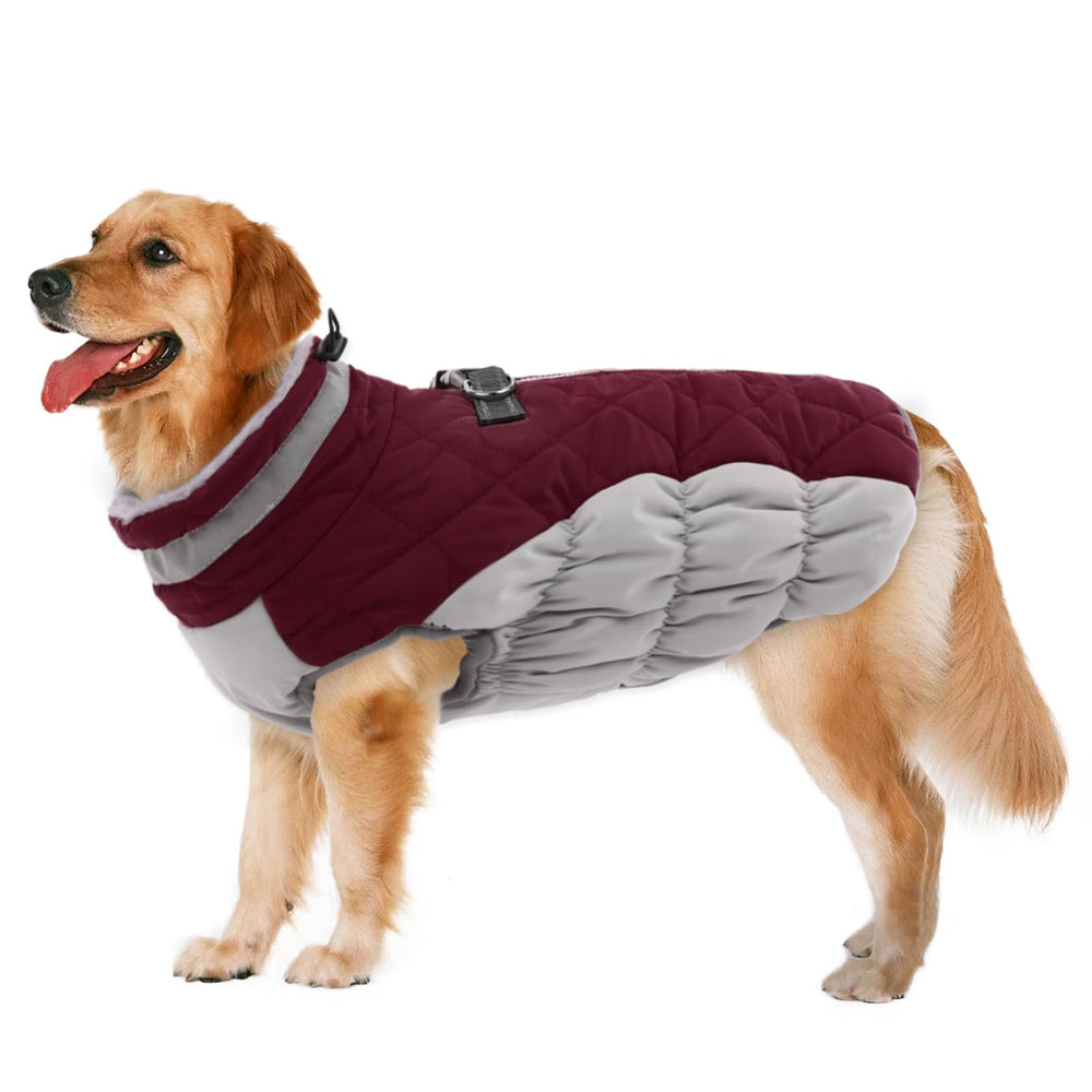 LeLePet chaqueta impermeable para perro, protección contra lluvia y frío