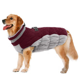 LeLePet chaqueta impermeable para perro, protección contra lluvia y frío