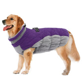 LeLePet chaqueta para perro con arnés integrado, cálida y resistente para exterior.
