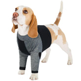 Disfraz LeLePet para Pata Delantera del Perro, protección suave que evita lamido.