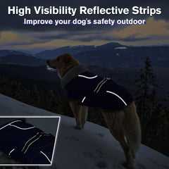 LeLePet vest reflectante para perro, ideal para caminatas nocturnas.