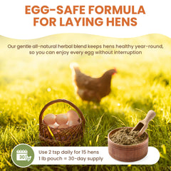 Ingredientes naturales de Lemant, mezcla herbal para bienestar.